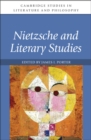 Image for Nietzsche and literary studies