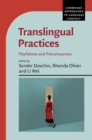 Image for Translingual practices  : playfulness and precariousness