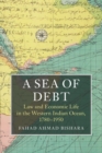 Image for A Sea of Debt