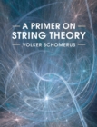 Image for A primer on string theory