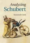 Image for Analyzing Schubert