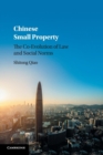 Image for Chinese small property  : the co-evolution of law and social norms