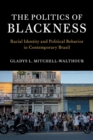 Image for The politics of blackness  : racial identity and political behavior in contemporary Brazil