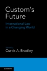 Image for Custom&#39;s future: international law in a changing world