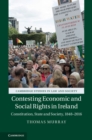Image for Contesting economic and social rights in Ireland: constitution, state and society, 1848-2016