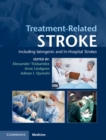 Image for Treatment-Related Stroke: Including Iatrogenic and In-Hospital Strokes