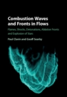 Image for Combustion waves and fronts in flows: flames, shocks, detonations, ablation fronts and explosion of stars