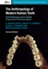 Image for The Anthropology of Modern Human Teeth: Dental Morphology and Its Variation in Recent and Fossil Homo Sapiens