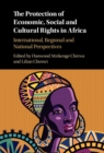 Image for Protection of Economic, Social and Cultural Rights in Africa: International, Regional and National Perspectives