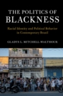 Image for The Politics of Blackness: Racial Identity and Political Behavior in Contemporary Brazil