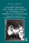 Image for Gender protest and same-sex desire in antebellum American literature: Margaret Fuller, Edgar Allan Poe, Nathaniel Hawthorne, and Herman Melville