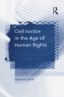 Image for Civil justice in the age of human rights