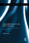 Image for Sustainable growth in the African economy: how durable is Africa&#39;s recent performance?