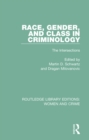 Image for Race, gender, and class in criminology: the intersections : 4