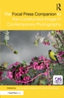 Image for The Focal Press companion to the constructed image in contemporary photography