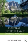 Image for Integral psychotherapy: a unifying approach