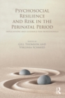 Image for Psychosocial resilience and risk in the perinatal period: implications and guidance for professionals