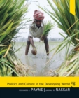 Image for Politics and culture in the developing world: the impact of globalization