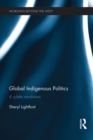 Image for Global indigenous politics: a subtle revolution : 11