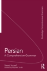Image for Persian: a comprehensive grammar