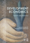 Image for Development economics: theory and practice