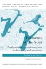 Image for Torments of the soul: psychoanalytic transformations in dreaming and narration