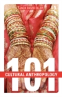Image for Cultural anthropology 101