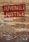 Image for Juvenile justice: an introduction to process, practice, and research