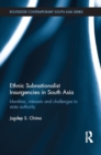 Image for Ethnic subnationalist insurgencies in south asia: identities, interests and challenges to state authority