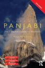 Image for Colloquial Panjabi: the complete course for beginners