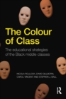 Image for The colour of class: the educational strategies of the black middle classes