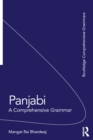 Image for Panjabi: a comprehensive grammar
