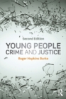 Image for Young people, crime and justice
