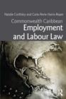 Image for Commonwealth Caribbean employment and labour law
