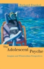 Image for The adolescent psyche: Jungian and Winnicottian perspectives