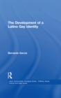 Image for The development of a Latino gay identity