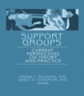 Image for Support groups: current perspectives on theory and practice