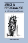 Image for Affect in psychoanalysis: a clinical synthesis