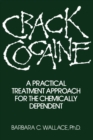 Image for Crack Cocaine: A Practical Treatment Approach For The Chemically Dependent