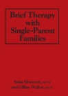Image for Brief therapy with single-parent families