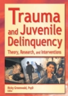 Image for Trauma and juvenile delinquency: theory, research, and interventions