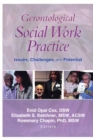 Image for Gerontological Social Work Practice: Issues, Challenges, and Potential