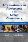 Image for African American adolescents in the urban community: social services policy and practice interventions