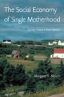 Image for The social economy of single motherhood: raising children in rural America