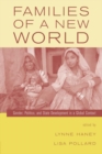 Image for Families of a new world: gender, politics and state development in a global context
