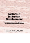 Image for Addiction in human development: developmental perspectives on addiction and recovery