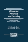 Image for Adolescent pregnancy and parenting: findings from a racially diverse sample : 0