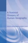 Image for A feminist glossary of human geography