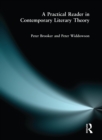 Image for A Practical reader in contemporary literary theory