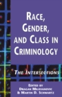 Image for Race, gender, and class in criminology: the intersections : v. 19
